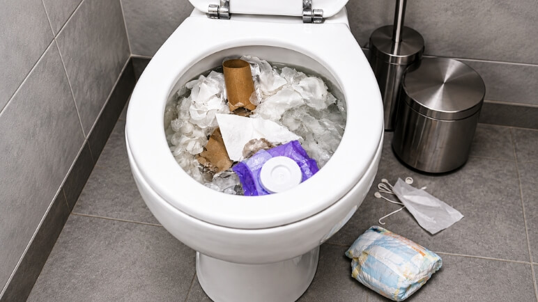 O-que-pode-causar-o-entupimento-de-um-vaso-sanitario.jpg