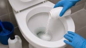 e-seguro-usar-soda-caustica-no-vaso-sanitario.jpg