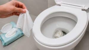 lenco-umedecido-pode-entupir-o-vaso-sanitario.jpg